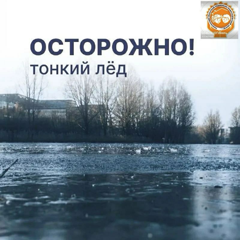 0-02-05-6843721781e50a83383b0c039acdbd44772d48798d0f92f4659b841e9d9351e2_522e7dcfcefde3a1